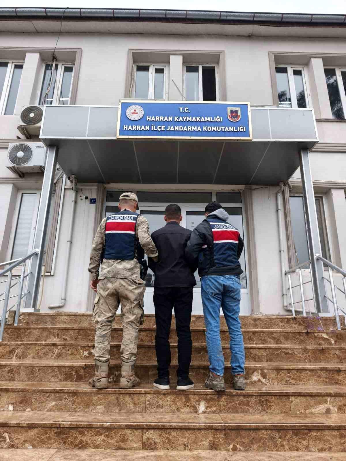 Şanlıurfa Harran'da Dolandırıcılık Suçundan Aranan 5 Yıllık Hapis Cezalı Şahıs Jandarmadan Kaçamadı