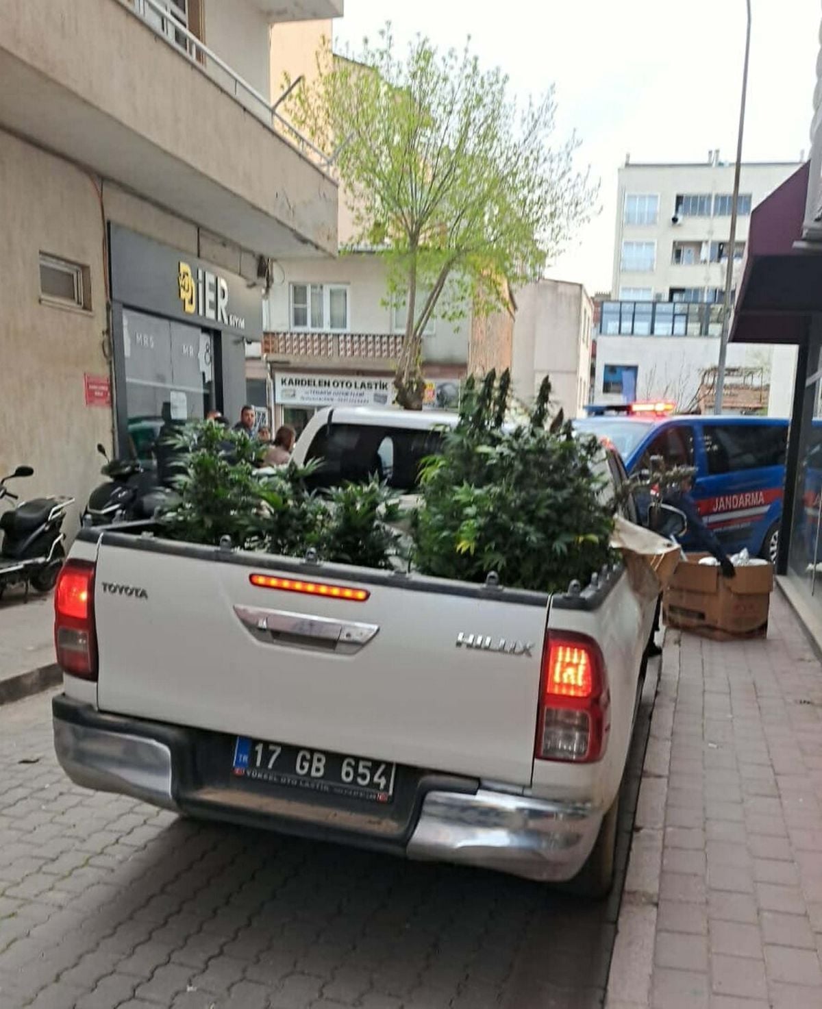 Çanakkale'de Apartman Dairesinde Uyuşturucu Yetiştiren Şüpheli Jandarma Operasyonuyla Yakalandı