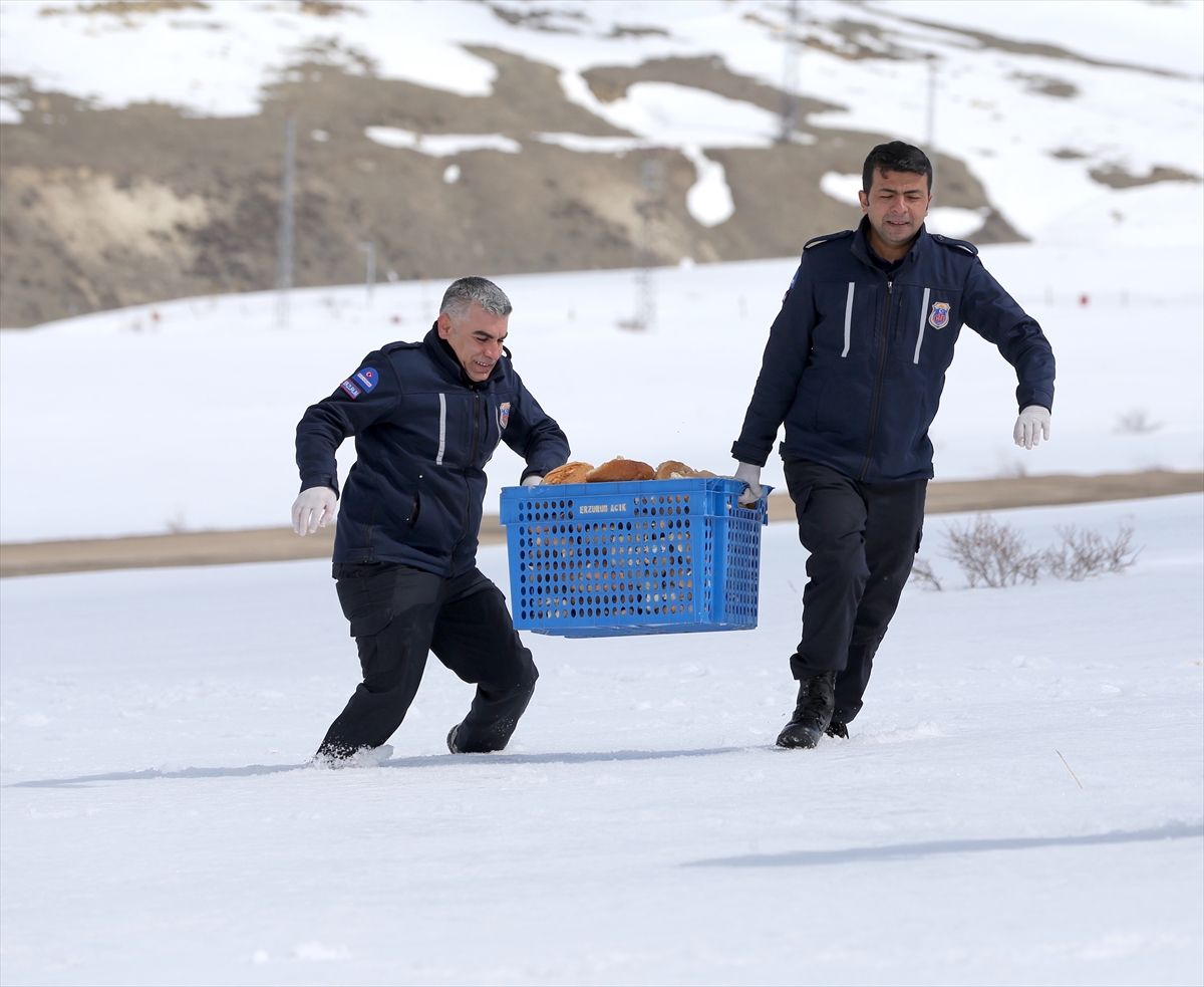 Erzurum İnfaz Koruma Memurlarından Yaban Hayvanlarına Anlamlı Destek: “Doğaya Şefkat Eli Projesi”