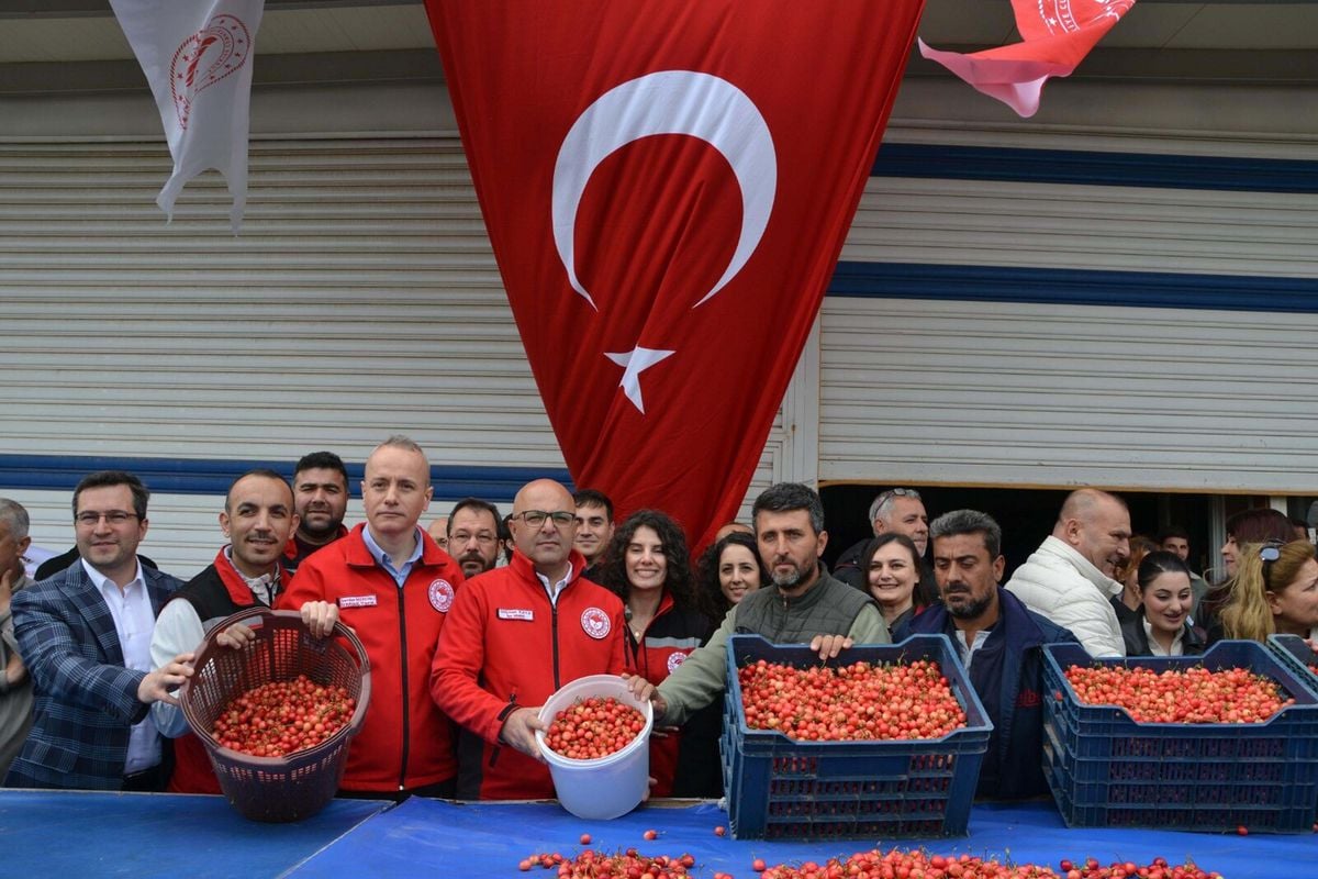 Manisa’da Sezonun İlk Kirazı Kilosu 6 Bin TL’den Alıcı Buldu: İhracata Başlandı