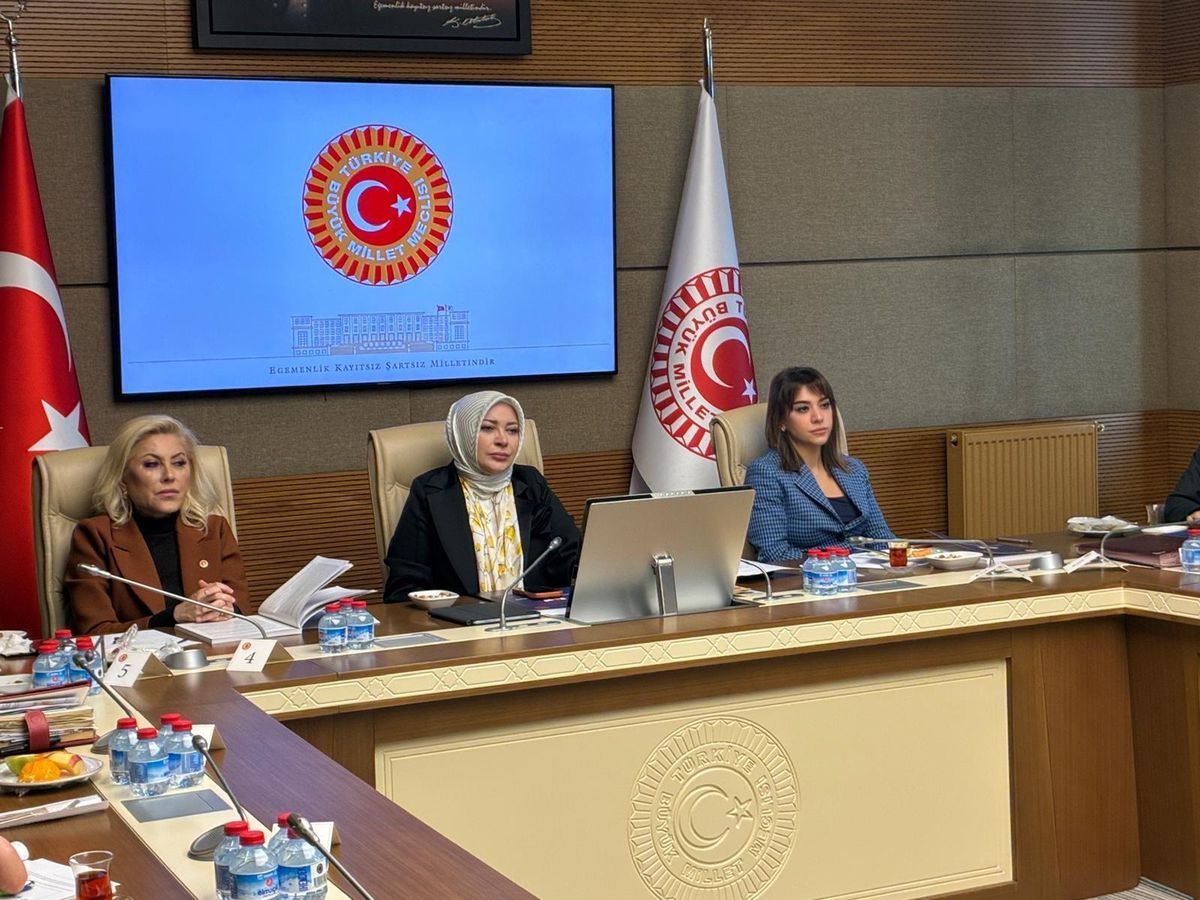 Kadına Şiddette Kritik Tespitler: %88 Koruma Kararı Almıyor, %73’ünün Faili Sabıkalı!