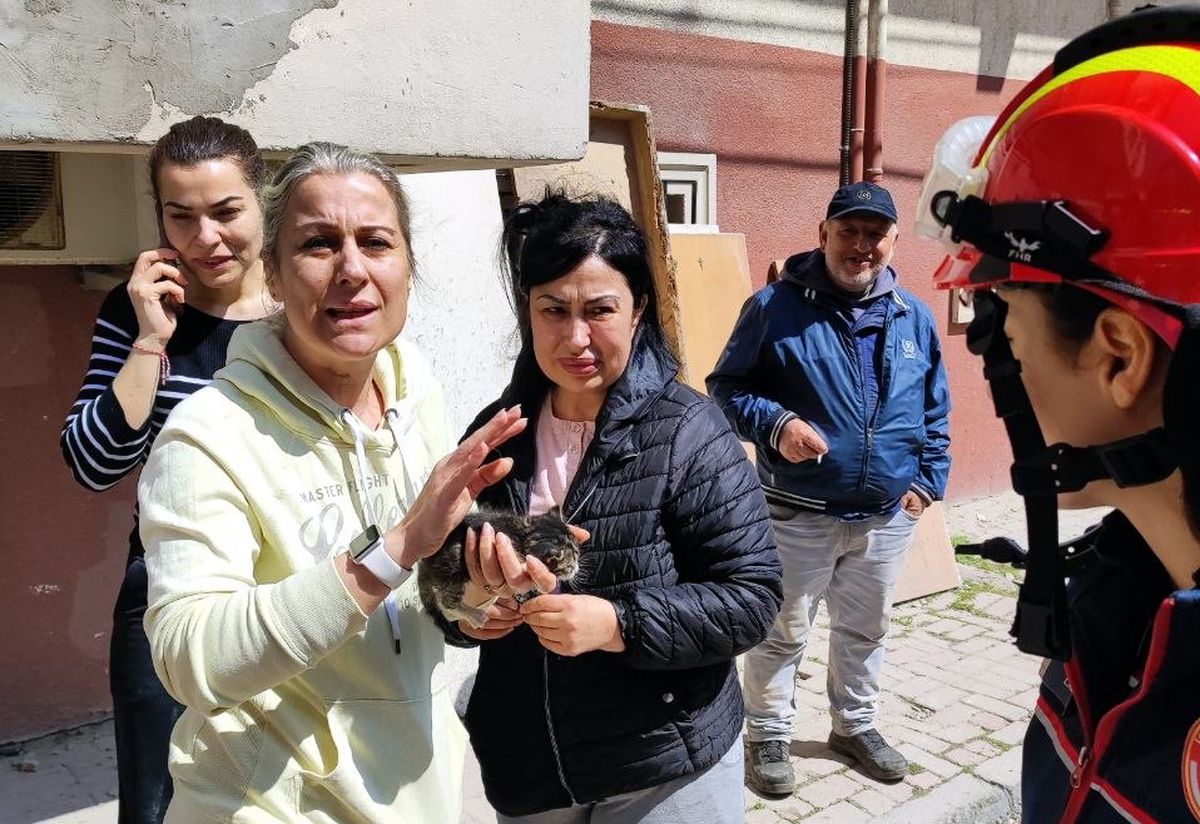 Avcılar'da Kentsel Dönüşümde Mahsur Kalan Yavru Kedi, 10 Günlük Kurtarma Operasyonuyla İtfaiye Ekiplerince Kurtarıldı