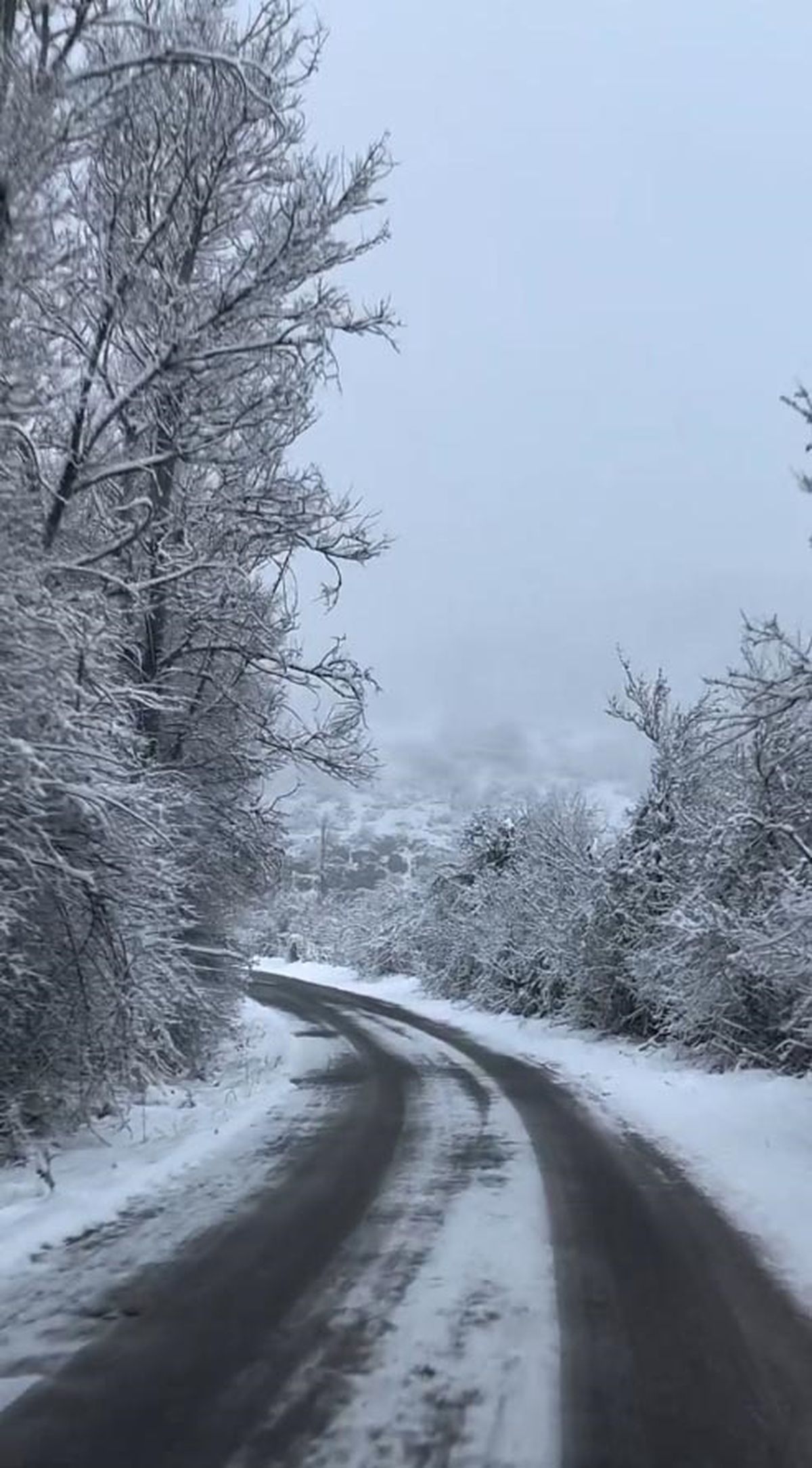 Bolu Gerede'de Beklenen Kar Yağışı Başladı: Yeşil Alanlar Beyaza Büründü