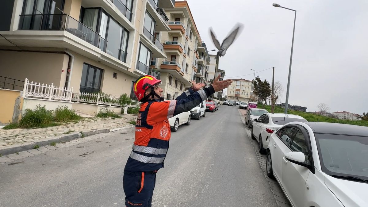 Avcılarda Havalandırma Boşluğuna Düşen Güvercin ve Martı İtfaiyenin Müdahalesiyle Kurtarıldı