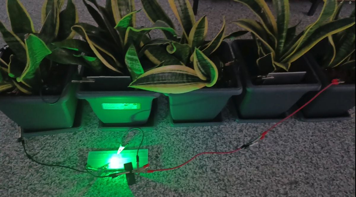 Saksı Bitkilerinden Elektrik Üretimiyle Yenilik: BAİBÜ’nün Biyopil Projesi TÜBİTAK Onaylı