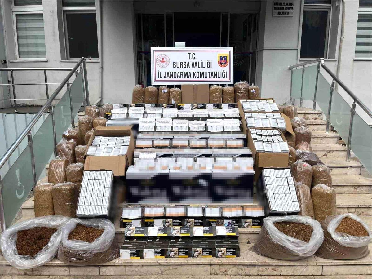 Bursa Gemlik'te Kaçak Tütün Operasyonunda 205 Bin Bandrolsüz Makaron Ele Geçirildi