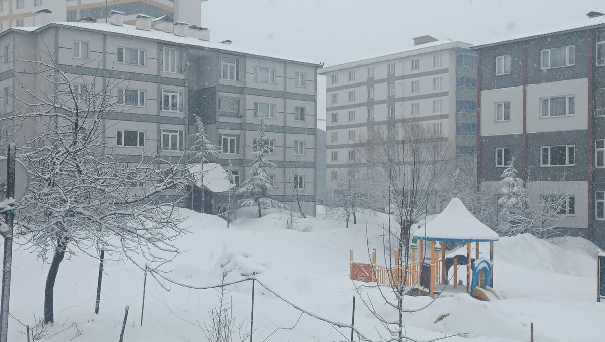 Bitlis'te Kar Yağışı Etkisini Gösterdi: Merkezde Kar Kalınlığı 5 Santimetreye Ulaştı