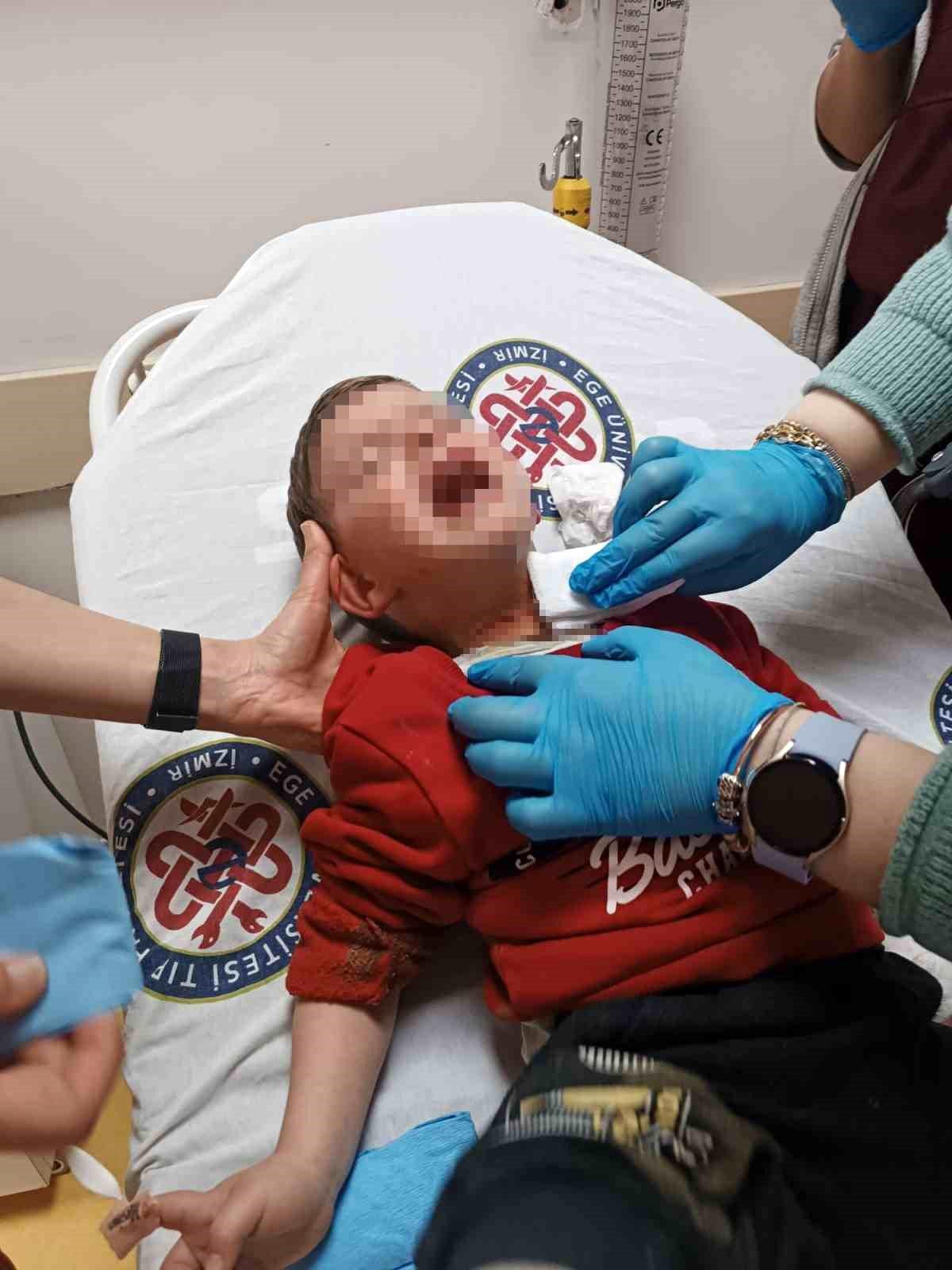 2 Yaşındaki Çocuğa İzmir'de Bıçaklı Saldırı: Madde Etkisindeki Şüpheli Yakalandı