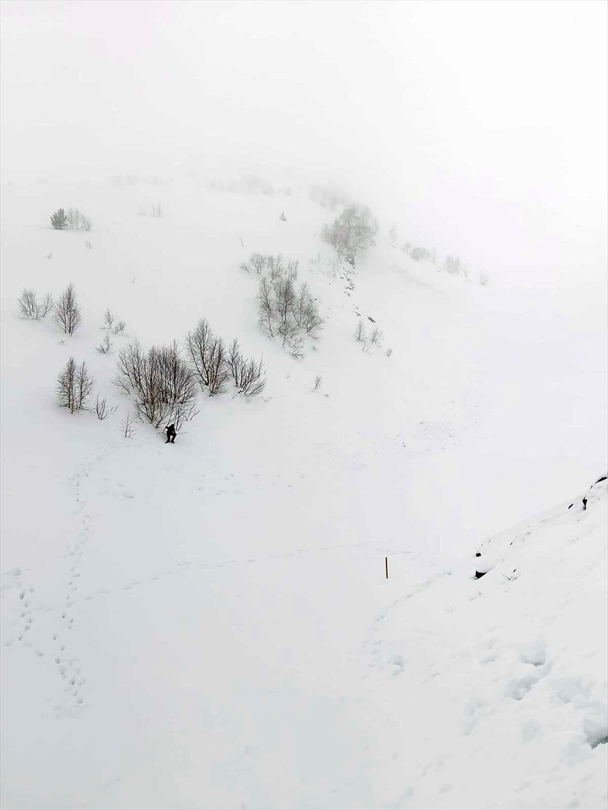 Artvin Ardanuç'ta Çığ Bölgesinde Detaylı İnceleme: Arama Kurtarma İçin Şartlar Uygun Değil