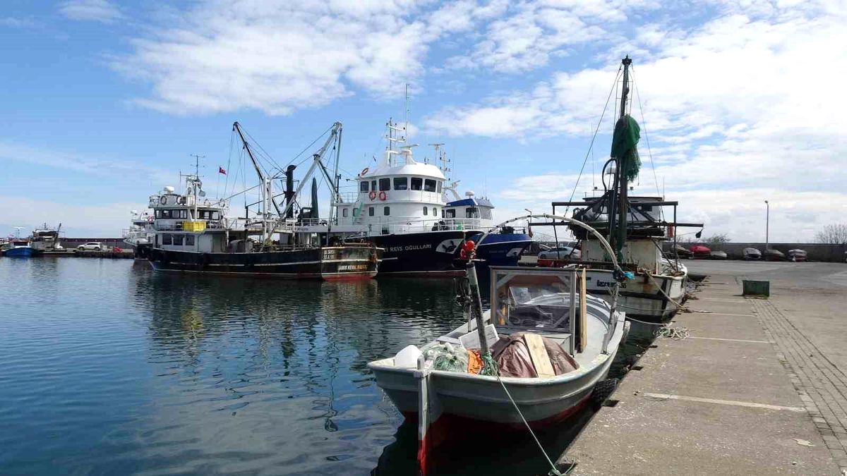 Balık Av Sezonu Kapanıyor: Samsun’da Palamut Dışında Bolluk ve Uygun Fiyatlar