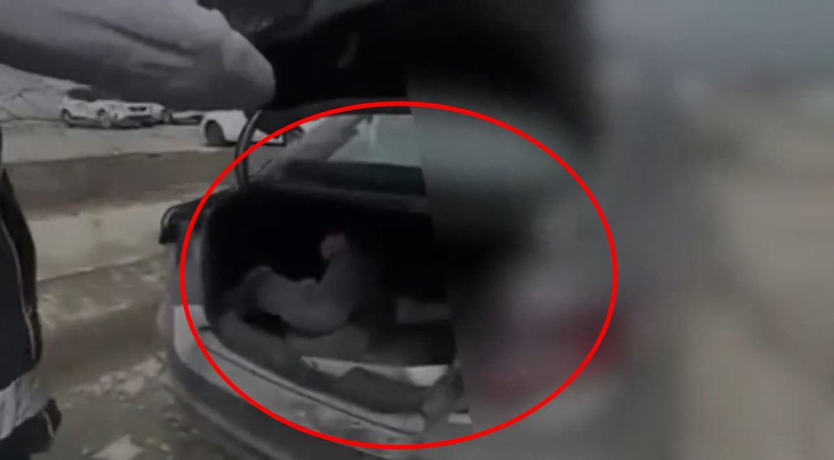 Bingöl'de Uyuşturucu Ticaretinden Aranan Firari Hükümlü Operasyonda Bagajda Yakalandı