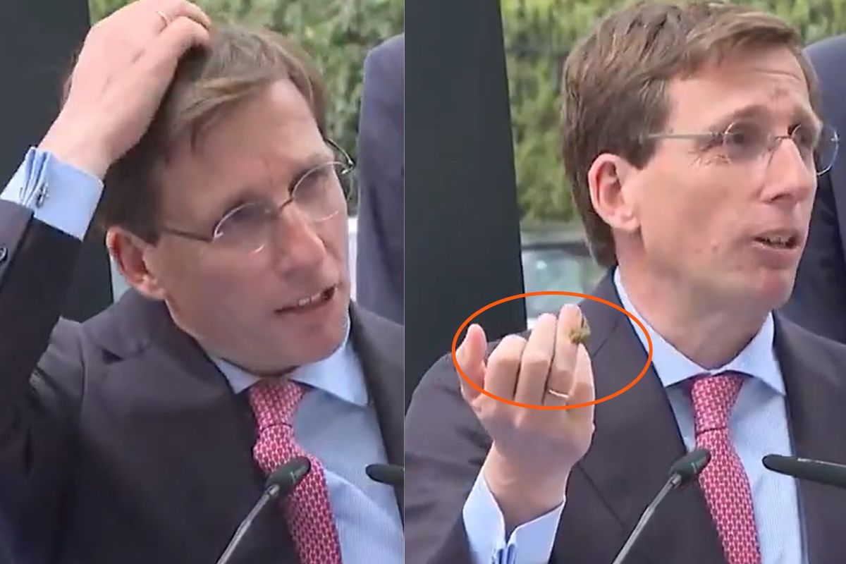 Madrid’de Basın Özgürlüğü Anıtı Açılışında Belediye Başkanına Güvercin Sürprizi