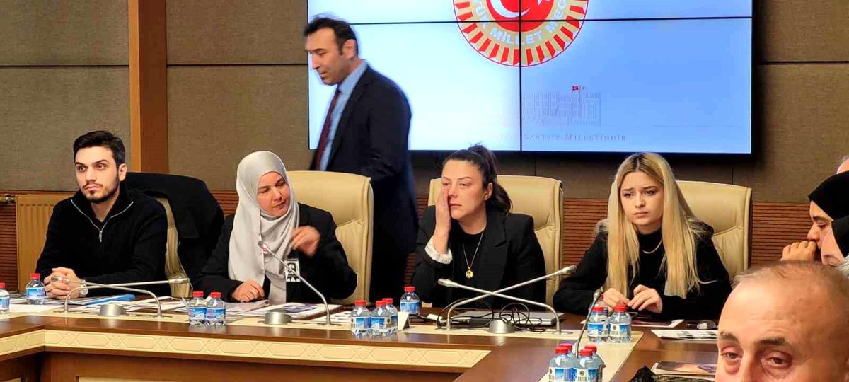 Bıçaklı Saldırılarda Yaşamını Yitiren Çocukların Ailelerinden TBMM Suça Sürüklenen Çocuklar Komisyonu'na Duygusal ve Çarpıcı İfadeler