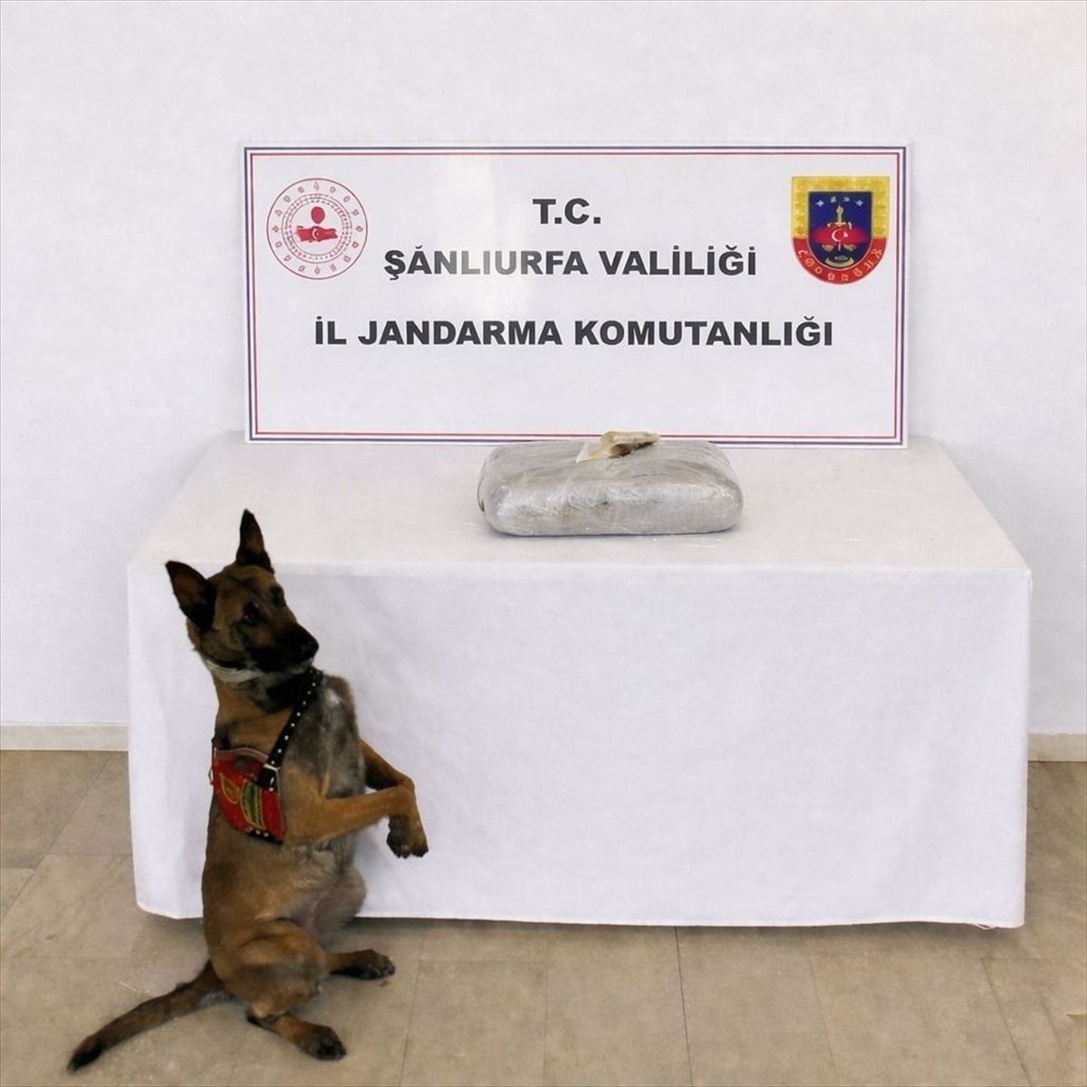 Şanlıurfa Birecik'te Uyuşturucu Operasyonu: 1 Kilo 222 Gram Esrarla Yakalanan Şüpheli Gözaltında