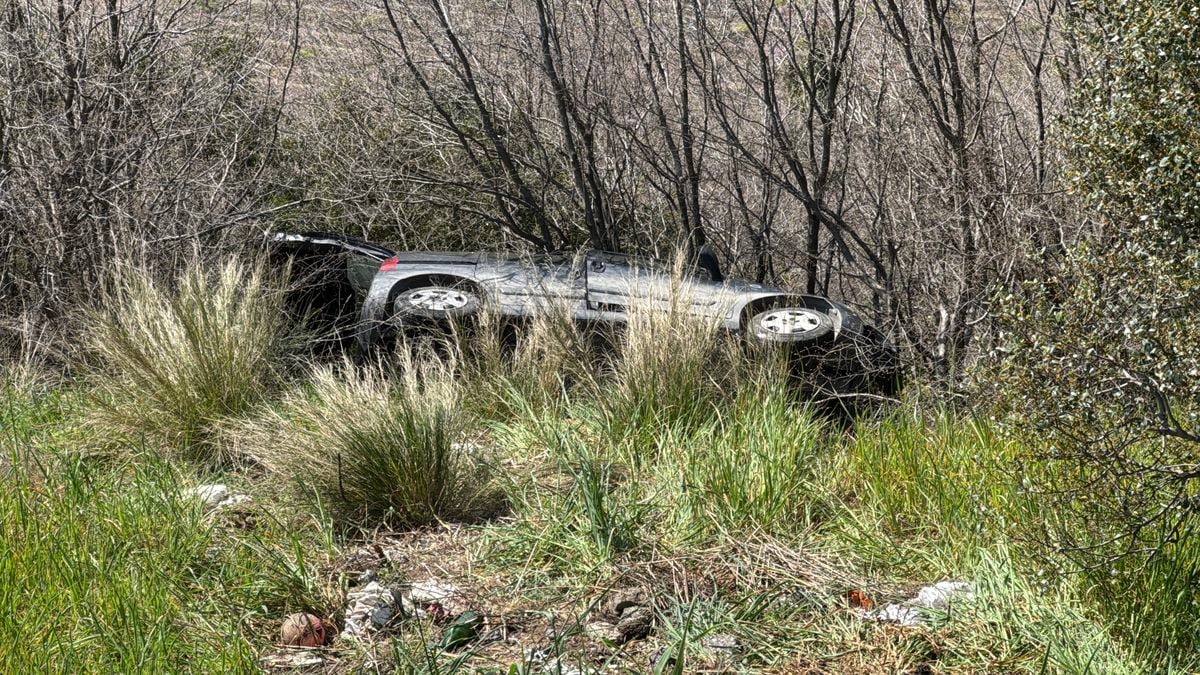Samsun'da Kediye Çarpmamak İçin Manevra Yapan Sürücü, Araziye Yuvarlandı: Ağır Yaralı