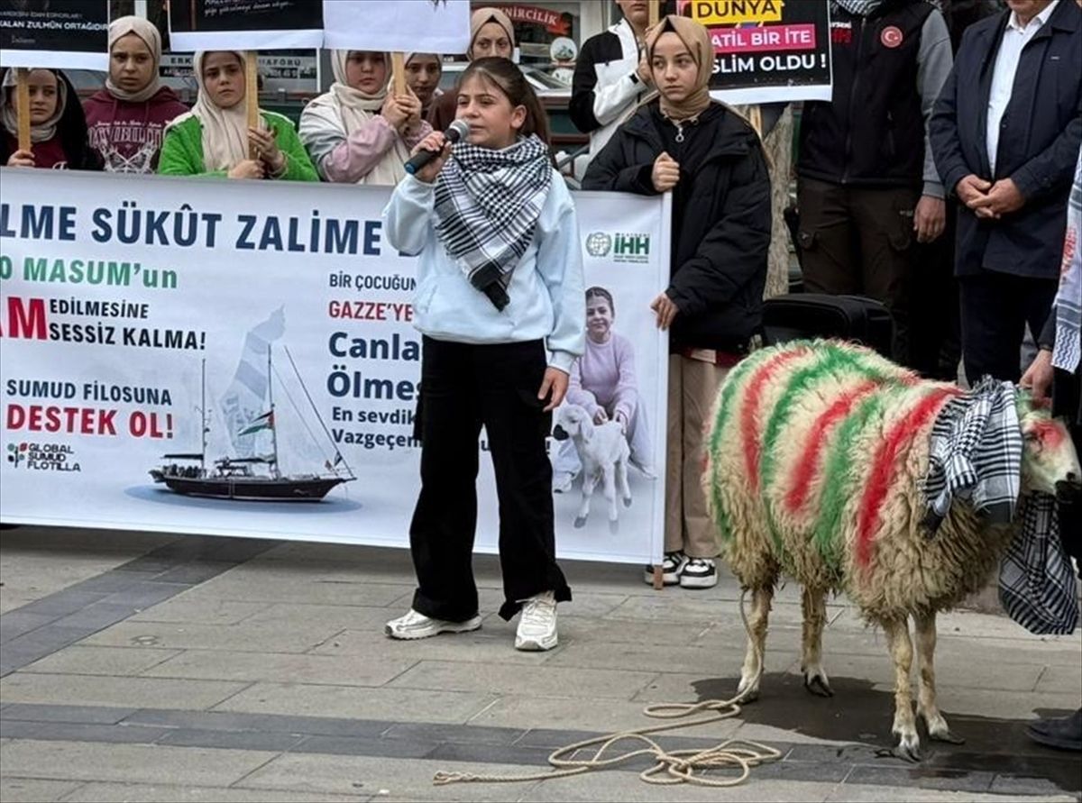 Kayseri'de 13 Yaşındaki Ecrin’in Büyüttüğü Kuzu, Gazze İçin 100 Bin Liraya Satıldı