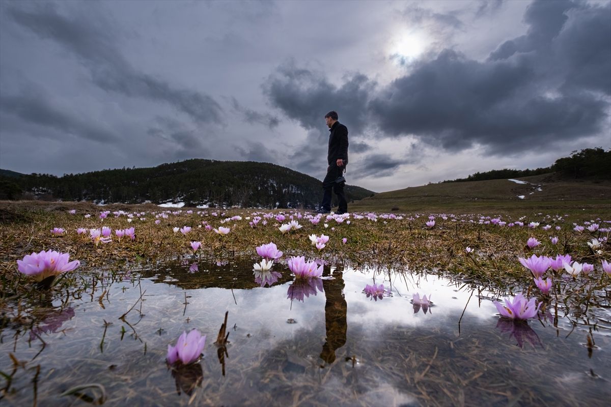 Yozgat Akdağmadeni'nde Mevsim Normallerinin Üstünde Sıcaklıklarla Renkli Bahar Manzaraları Oluştu